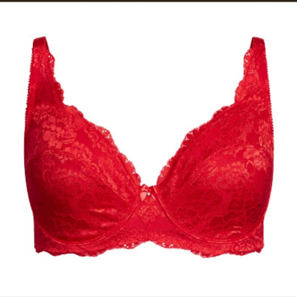 38G Darcie Underwire Demi Lace Bra In Tango Red by Hips & Curves NWT